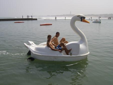 amine et issam